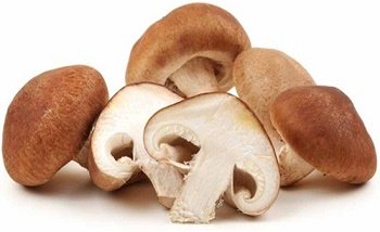 shiitake funghi