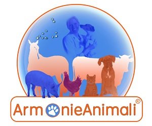 armonie animali