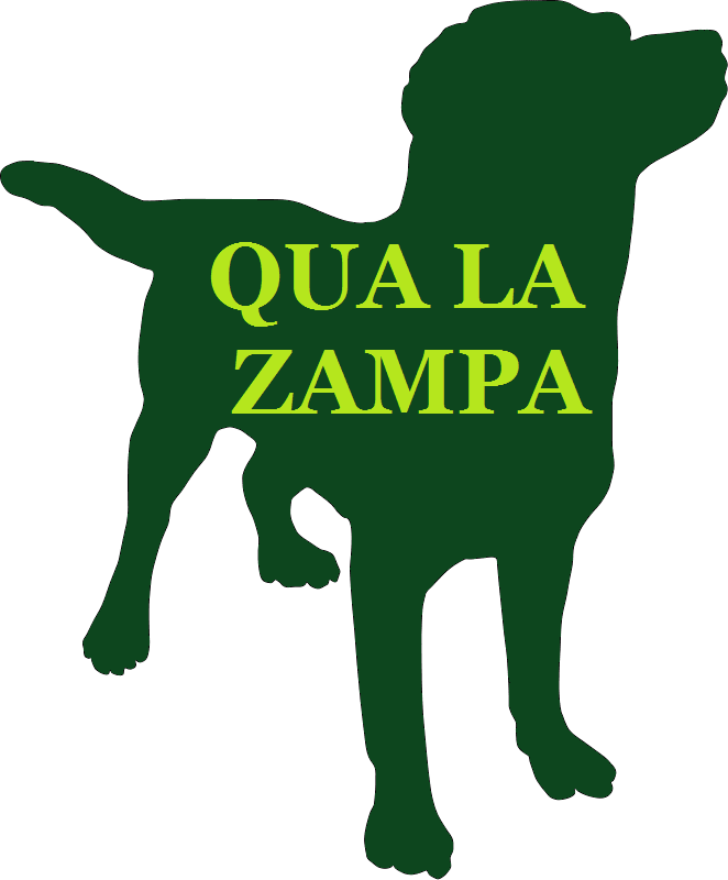 qua la zampa