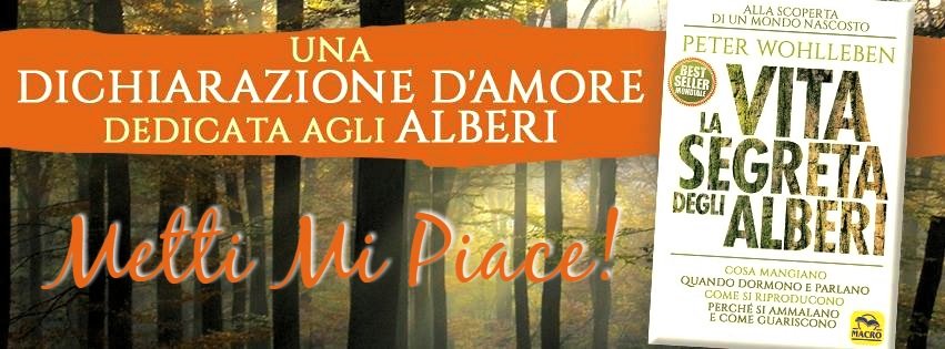 la vita segreta degli alberi facebook