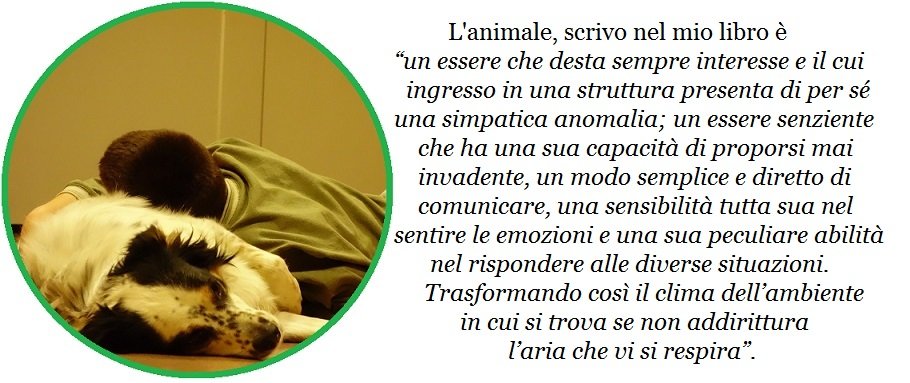 pet therapy l'animale