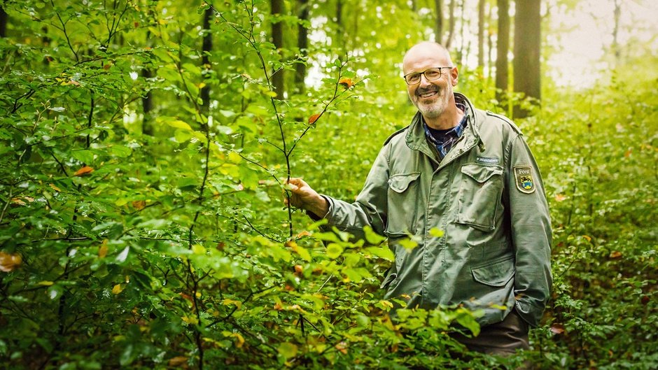 Peter Wohlleben nel bosco