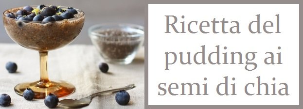 Ricetta del pudding ai semi di chia