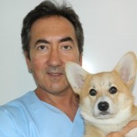 Alessandro Prota