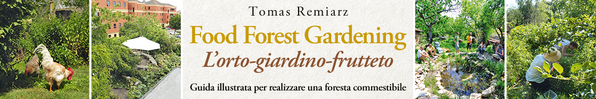 Food forest gardening