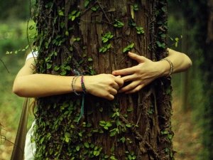 Abbracciare gli alberi: il potere terapeutico del bosco