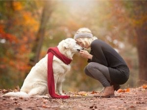 L'accompagnamento empatico: con il cane fino alla fine