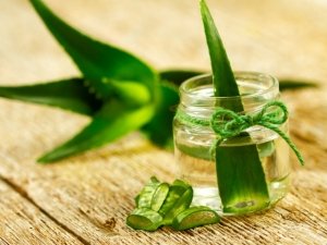 Aloe Vera: proprietà, utilizzo e segreti di bellezza