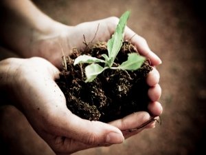 Come fare il compost: compostare con successo