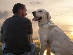 Pet Therapy: l’importanza della cooperazione