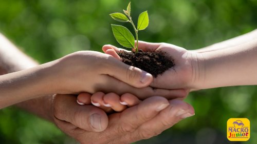 Famiglia e Ambiente: crescere insieme con Amore… e rispetto per la Terra!