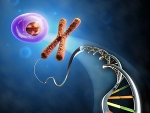 L'Epigenetica e i suoi meccanismi