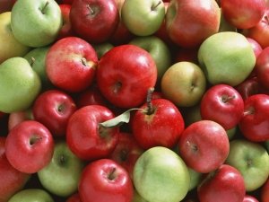 Frutta e verdura di stagione a settembre
