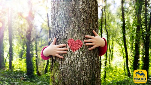 La Natura ti cura: scienza, energia e risveglio interiore