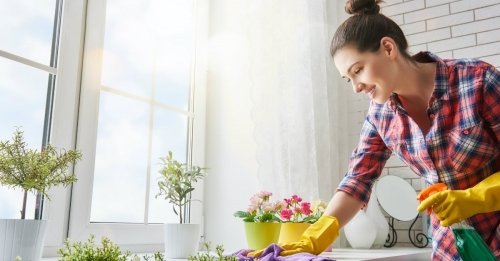 Microrganismi effettivi per le pulizie di casa