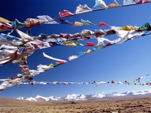 Padma: scopri il potere terapeutico di questo antico rimedio naturale tibetano