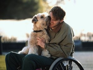 Pet Therapy e disabilità grave