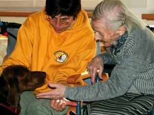 Pet Therapy: cos'è e come funziona