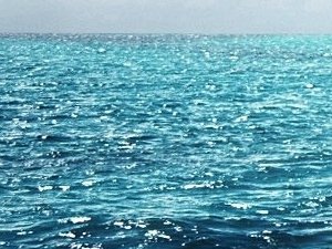 Plasma di Quinton: l'acqua di mare come cura