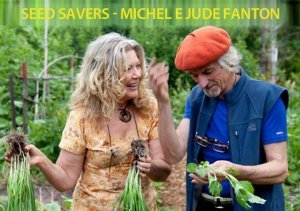Salvare i semi dell’orto assieme ai Seed Savers - video intervista