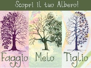 Scopri lo Spirito degli Alberi