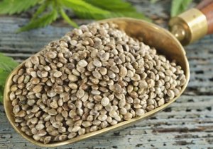 SuperFood: Semi di Canapa, un superalimento con tanti benefici per la nostra salute