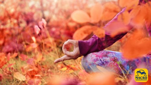 Yoga per le quattro stagioni, per una pratica personalizzata.