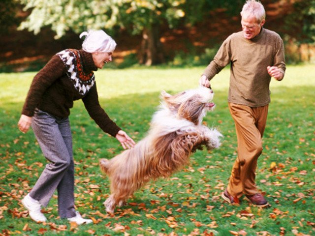 Gli animali sono lo specchio delle nostre emozioni