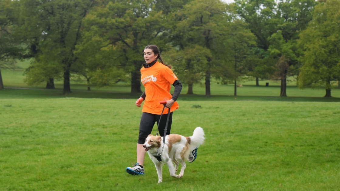 Dog Fitness: l'attività fisica con il tuo cane è la miglior ginnastica