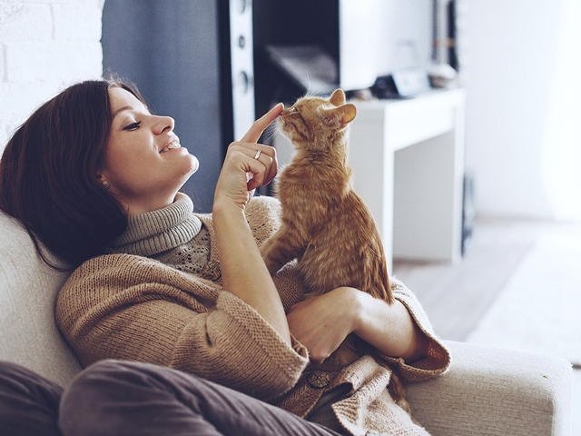 Le emozioni incidono sulla cura degli animali. Parola di veterinario