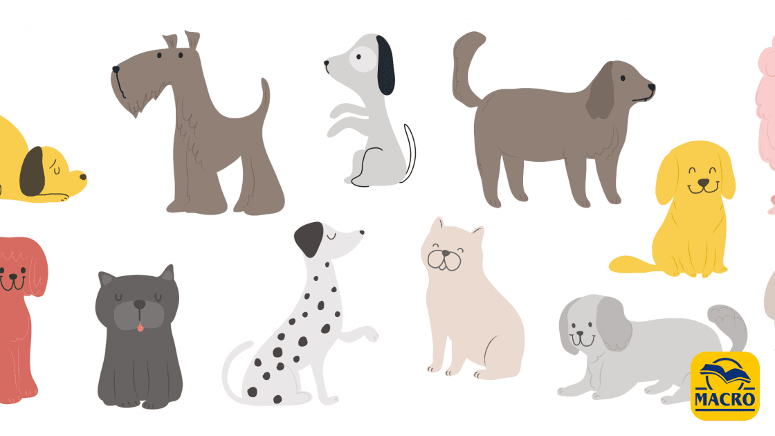 Fiori di Bach per Cani e Gatti: come riconoscere e armonizzare le emozioni del tuo animale