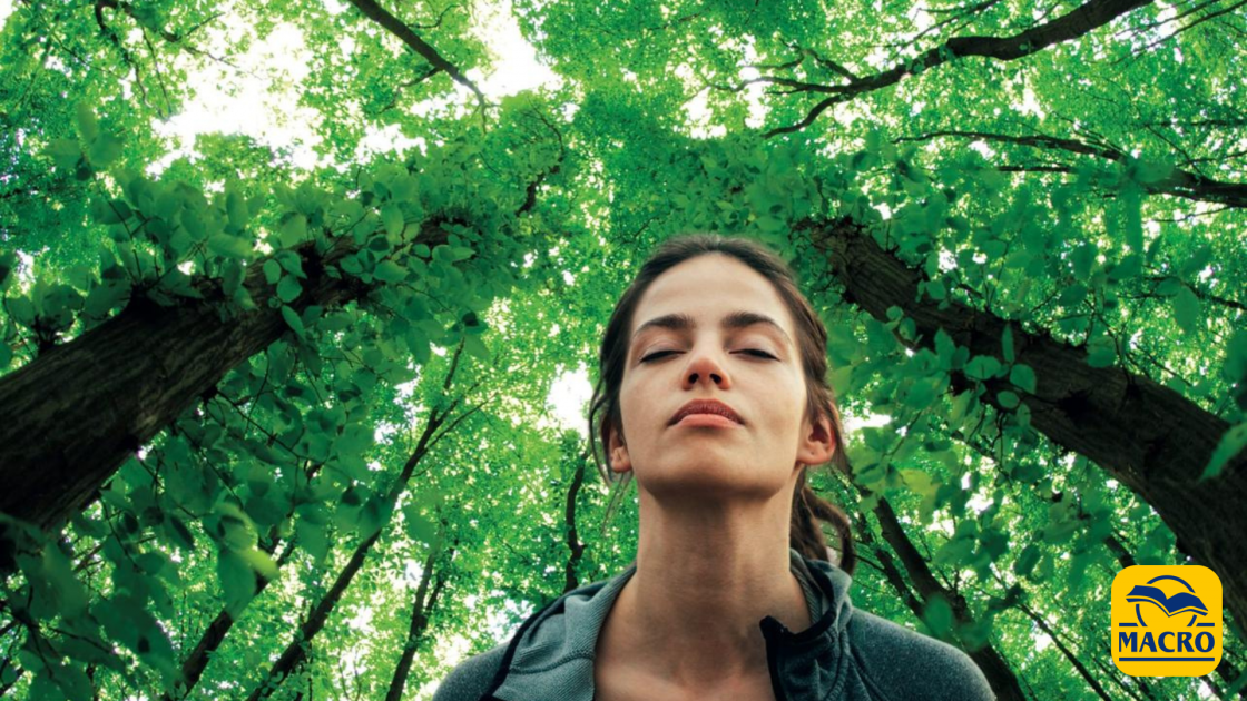 Giornata Mondiale della Terra: il richiamo del bosco tra scienza, benessere e consapevolezza