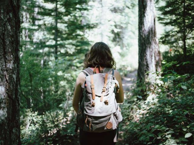 Shinrin-Yoku: il bagno nella foresta. Cos'è e come funziona