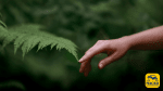 La Natura è dentro di te!