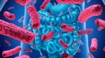 Come i batteri possono proteggerci dal Coronavirus (e da tutti gli altri virus)