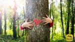 La Natura ti cura: scienza, energia e risveglio interiore