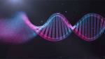 La nuova fisica: campi elettromagnetici e dna