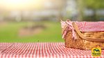 Pasquetta Etica: quando il picnic diventa un gesto d’amore