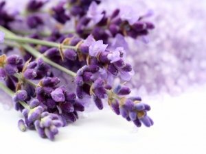 Come confezionare i sacchetti di lavanda