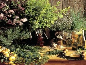 Erbe e piante aromatiche, puoi coltivarle tu stesso!