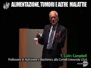 The China Study “spiegato” da Le Iene: Colin Campbell punta il dito su caseina e latte