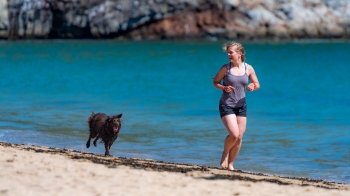 Come addestrare e allenare un cane