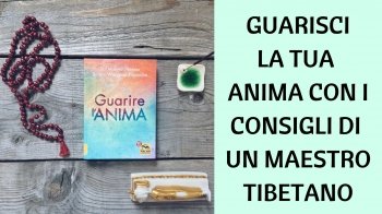 Guarisci la tua anima con i consigli di un Maestro tibetano