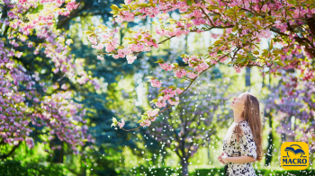 Benvenuta Primavera: piccoli consigli dal mondo Yoga e Ayurveda