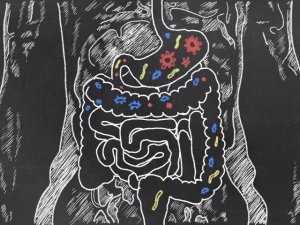 Batteri intestinali: preziosi alleati del benessere