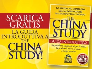 Scarica la guida introduttiva a The China Study