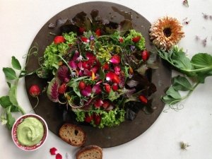 Come usare i fiori commestibili in cucina