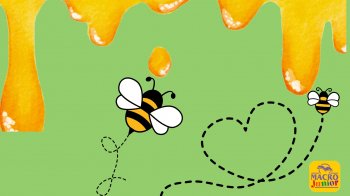 Le api:  piccole guardiane della natura