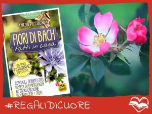 #REGALIDICUORE per guarire secondo natura coi Fiori di Bach