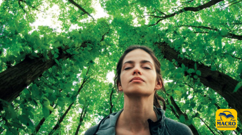 Giornata Mondiale della Terra: il richiamo del bosco tra scienza, benessere e consapevolezza